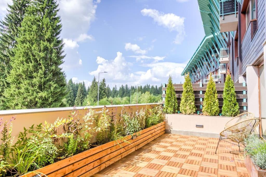 Splendor 3 Bedroom Flat In Silver Mountain Пояна-Брашов Экстерьер фото
